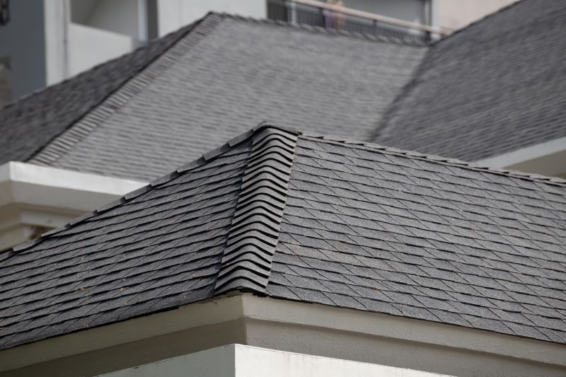 Specialized Roofing Companies